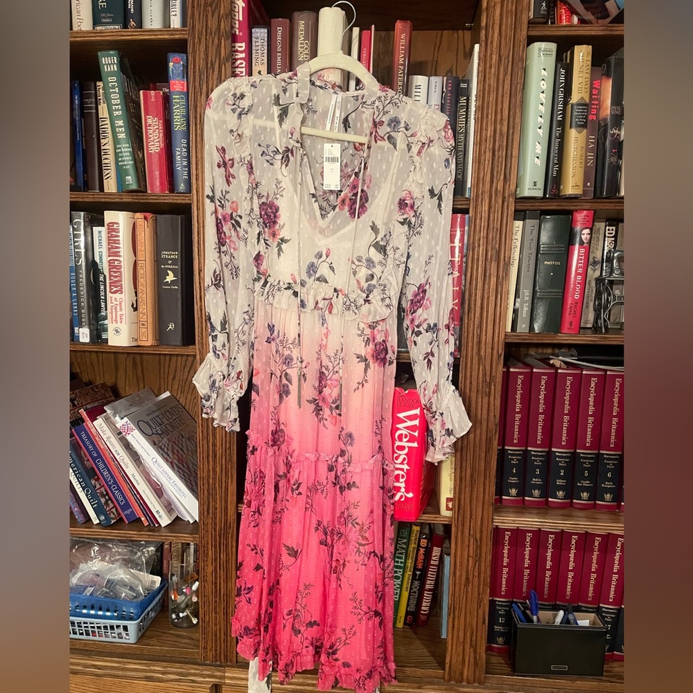 Anthropologie White and Pink Ruffled V-Neck Dress